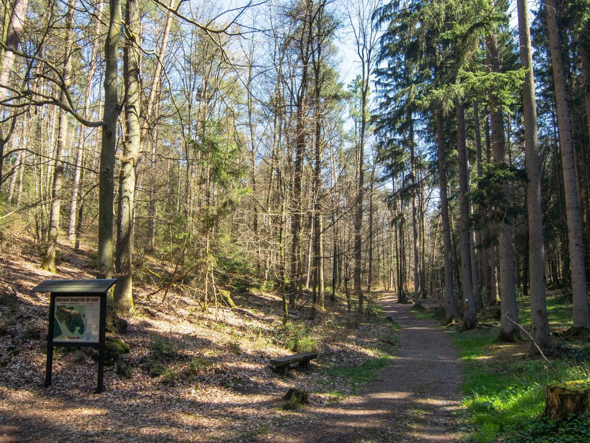 Apartment In The Odenwald With Terrace Mossautal Екстер'єр фото